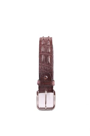 Cintura in pelle di coccodrillo marrone Da Costanzo | CROCODILE BIGMARRONE